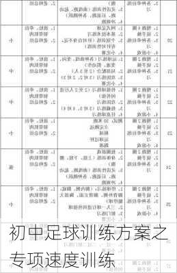 初中足球训练方案之专项速度训练