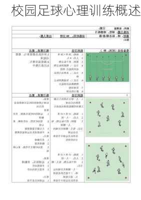 校园足球心理训练概述