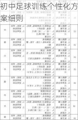 初中足球训练个性化方案细则