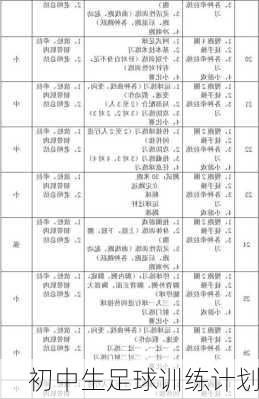 初中生足球训练计划