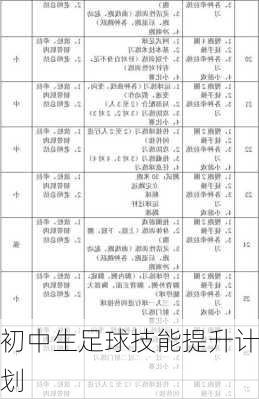 初中生足球技能提升计划