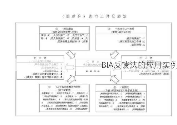 BIA反馈法的应用实例