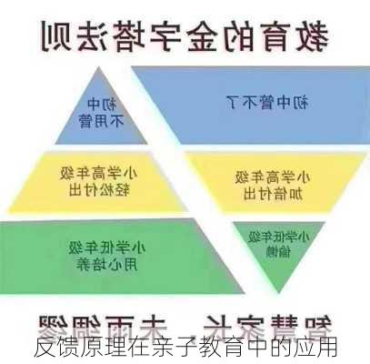 反馈原理在亲子教育中的应用