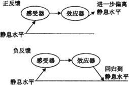 正反馈与负反馈在教育中的应用