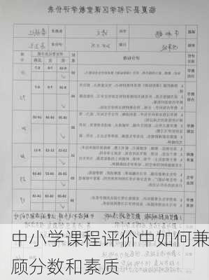 中小学课程评价中如何兼顾分数和素质