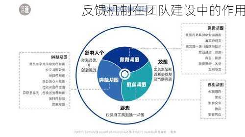 反馈机制在团队建设中的作用