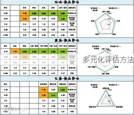 多元化评估方法