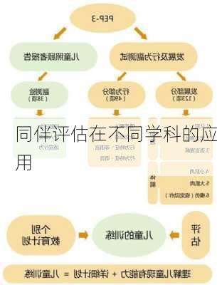 同伴评估在不同学科的应用