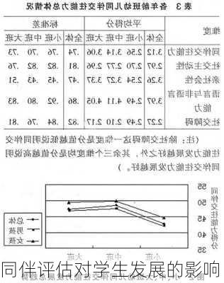 同伴评估对学生发展的影响