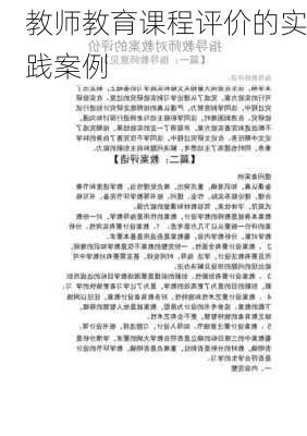 教师教育课程评价的实践案例