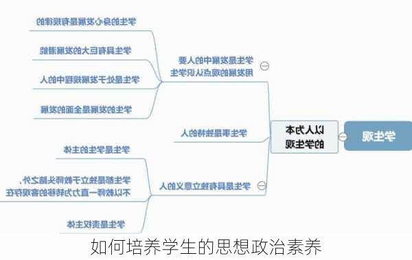 如何培养学生的思想政治素养