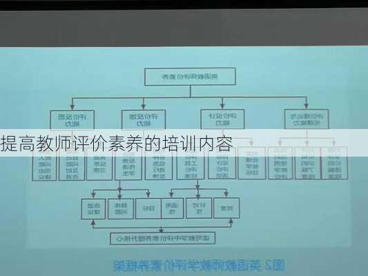 提高教师评价素养的培训内容