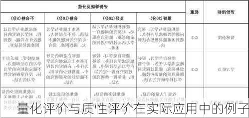 量化评价与质性评价在实际应用中的例子