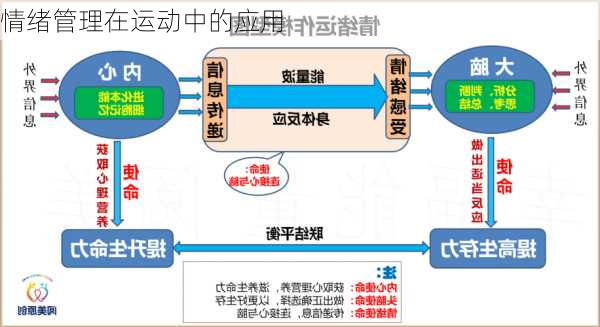 情绪管理在运动中的应用