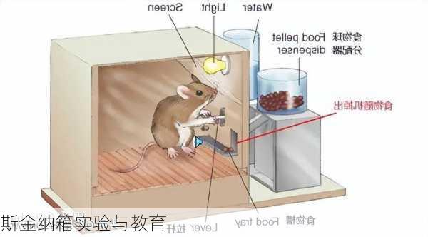 斯金纳箱实验与教育