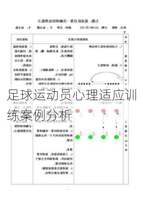 足球运动员心理适应训练案例分析