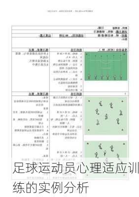 足球运动员心理适应训练的实例分析