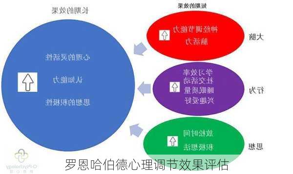 罗恩哈伯德心理调节效果评估