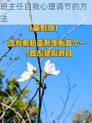 班主任自我心理调节的方法