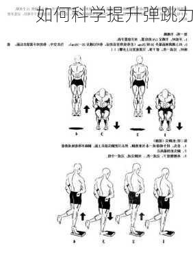 如何科学提升弹跳力