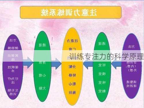 训练专注力的科学原理