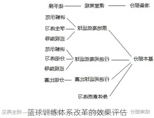 篮球训练体系改革的效果评估