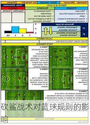 砍鲨战术对篮球规则的影响