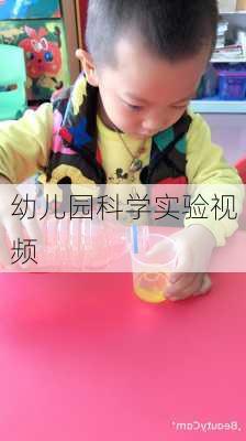 幼儿园科学实验视频