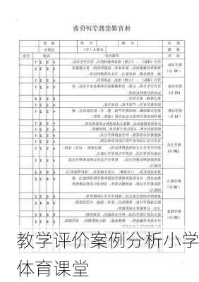 教学评价案例分析小学体育课堂