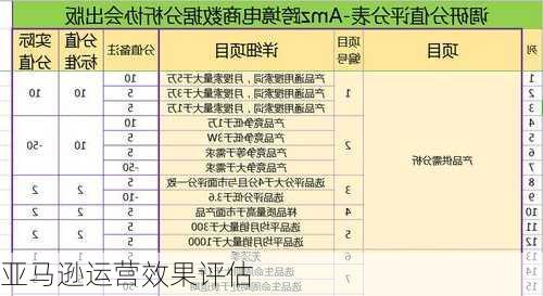 亚马逊运营效果评估