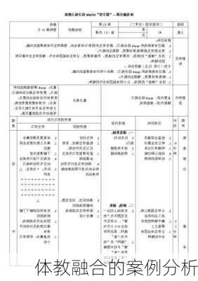 体教融合的案例分析