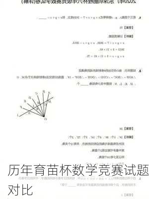 历年育苗杯数学竞赛试题对比