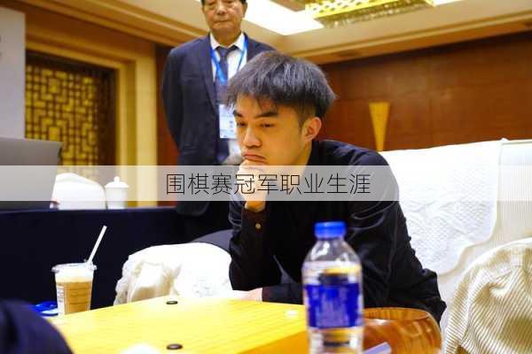 围棋赛冠军职业生涯