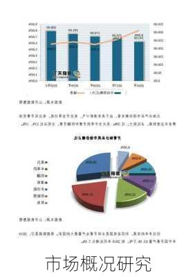 市场概况研究
