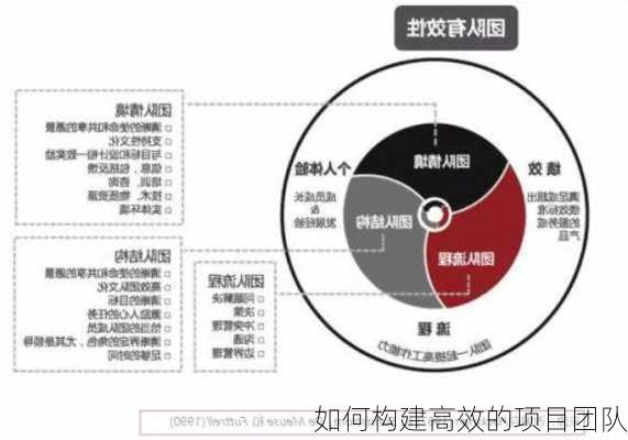 如何构建高效的项目团队