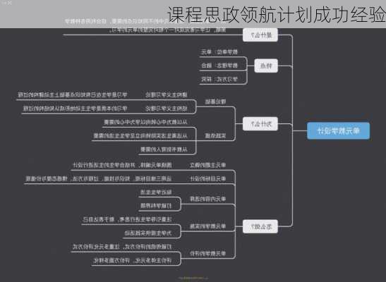 课程思政领航计划成功经验