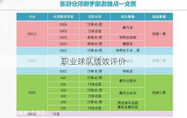 职业球队绩效评价