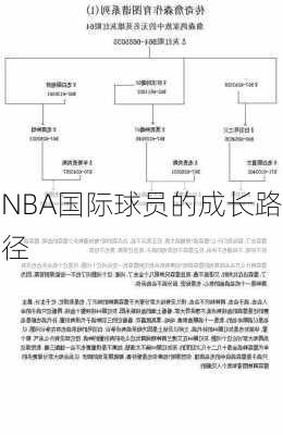 NBA国际球员的成长路径