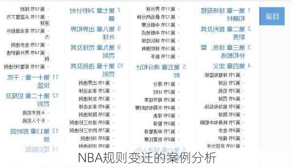 NBA规则变迁的案例分析