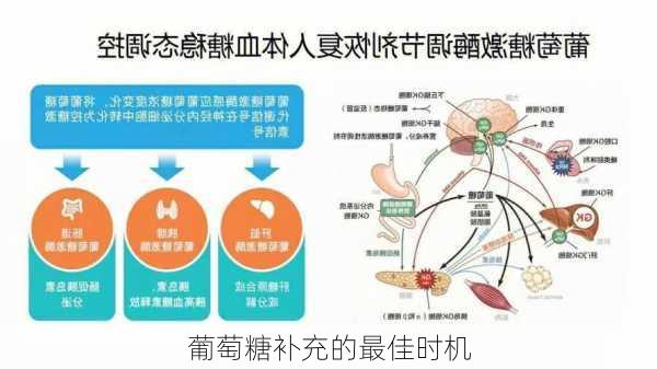 葡萄糖补充的最佳时机