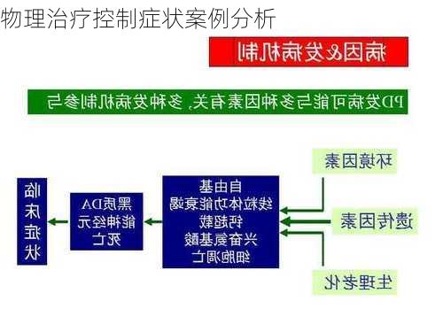 物理治疗控制症状案例分析