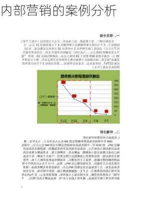 内部营销的案例分析