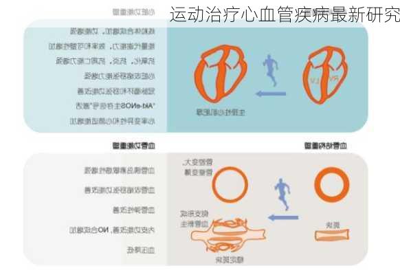 运动治疗心血管疾病最新研究