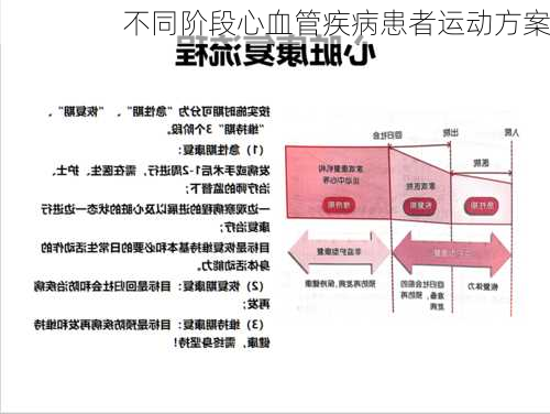 不同阶段心血管疾病患者运动方案