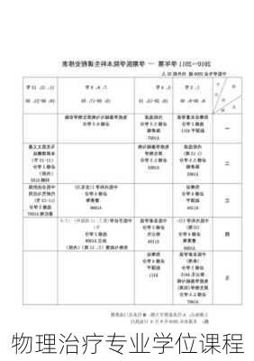 物理治疗专业学位课程