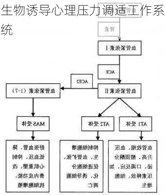 生物诱导心理压力调适工作系统