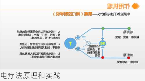 电疗法原理和实践