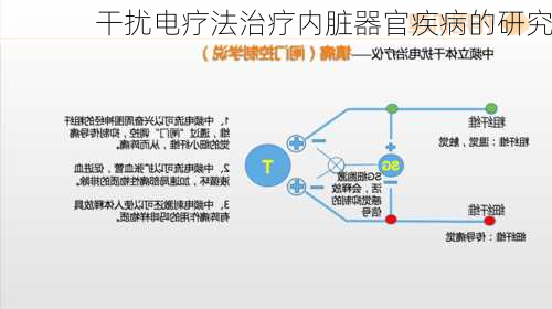 干扰电疗法治疗内脏器官疾病的研究