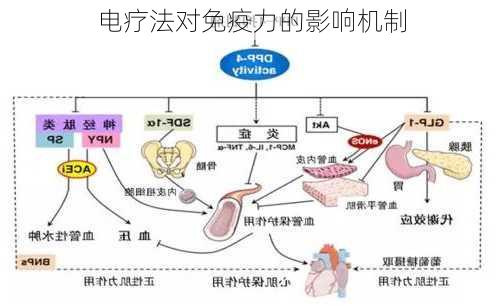 电疗法对免疫力的影响机制