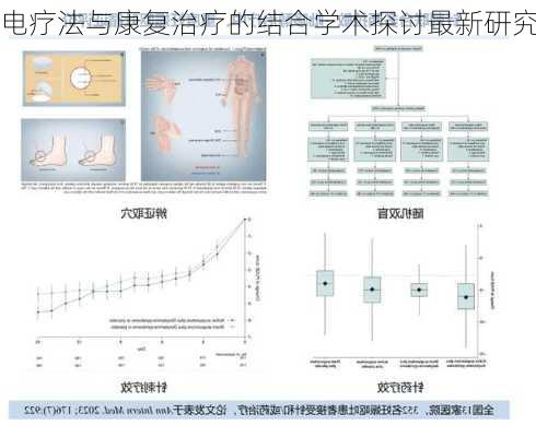 电疗法与康复治疗的结合学术探讨最新研究